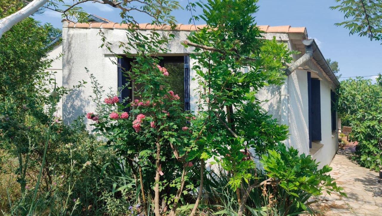 Chambre Privee Dans Maison En Garrigue نيم المظهر الخارجي الصورة
